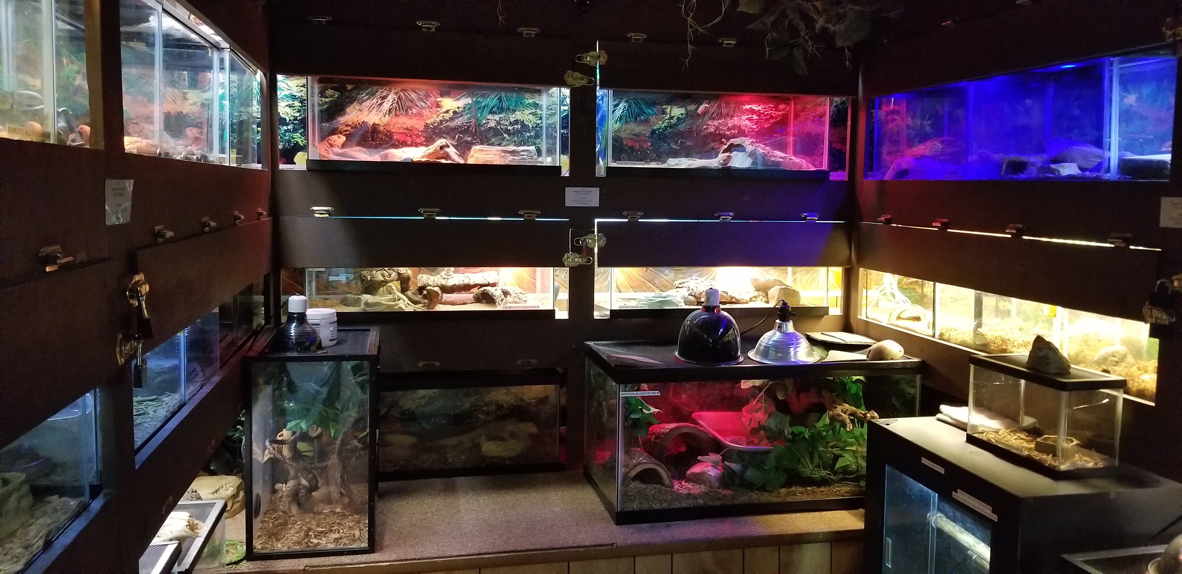 ZIMMERS REPTILE ROOM LARGEST IN THE AREA!